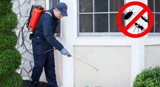 Gemerek Böcek İlaçlama böcek ilaçlama ve haşere kontrolü — ilaclama-tr.com